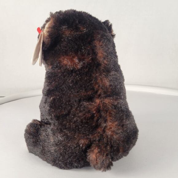 Ty Beanie Baby Kodi Bear Plush Toy 6" Brown Black Stuffed Animal with Tags - Picture 5 of 16